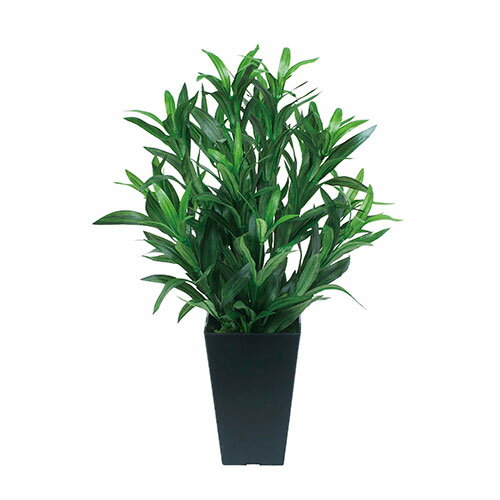 アートグリーン 人工観葉植物 光触媒 光の楽園 スパイダー