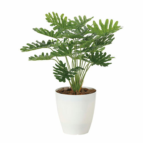 アートグリーン 人工観葉植物 光触媒 光の楽園 フレッシュクッカバラ