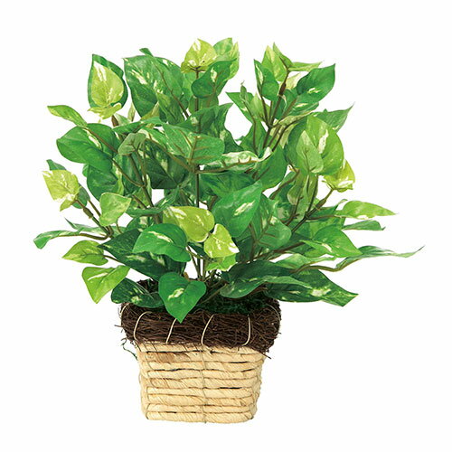 アートグリーン 人工観葉植物 光触媒 光の楽園 ミニポトス