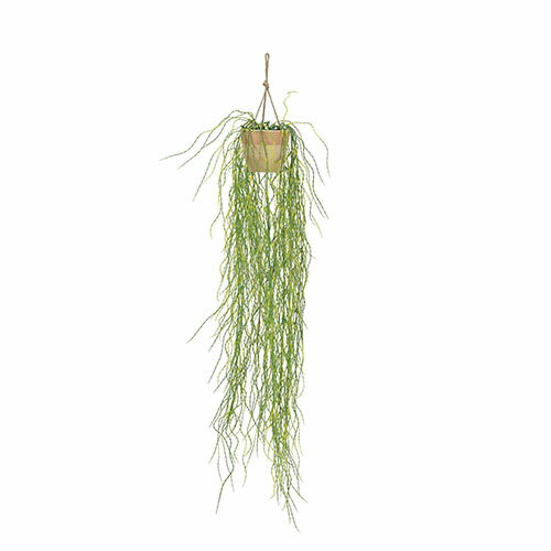 アートグリーン 人工観葉植物 光触媒 光の楽園 ウォーターグラスハンガー(ポリ製)