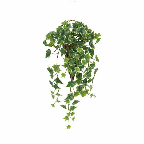 アートグリーン 人工観葉植物 光触媒 光の楽園 壁掛け斑入りアイビー
