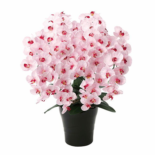 アートグリーン 人工観葉植物 光触媒 光の楽園 プレミアム胡蝶蘭7本立P