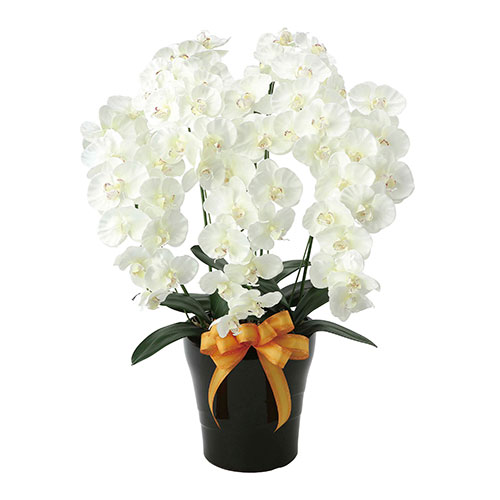 アートグリーン 人工観葉植物 光触媒 光の楽園 プレミアム胡蝶蘭5本立W