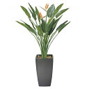 アートグリーン 人工観葉植物 光触媒 光の楽園 ア−トストレチア花付1.8