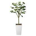 アートグリーン 人工観葉植物 光触媒 光の楽園 ウンベラ―タダブル1.8