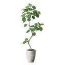アートグリーン 人工観葉植物 光触媒 光の楽園 ナチュラルウンベラータ1.9