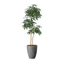 アートグリーン 人工観葉植物 光触媒 光の楽園 ナチュラルパキラ1.8