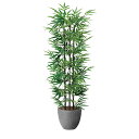 アートグリーン 人工観葉植物 光触媒 光の楽園 ナチュラル黒竹1.6