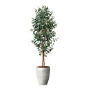アートグリーン 人工観葉植物 光触媒 光の楽園 ナチュラルユーカリ1.8