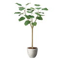 アートグリーン 人工観葉植物 光触媒 光の楽園 ナチュラルウンベラータ1.5