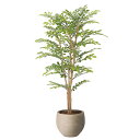 アートグリーン 人工観葉植物 光触媒 光の楽園 ナチュラルライトトネリコ1.1