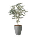 アートグリーン 人工観葉植物 光触媒 光の楽園 ナチュラルオリーブツリー1.5
