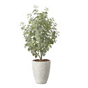 アートグリーン 人工観葉植物 光触媒 光の楽園 ナチュラルユーカリツリー1.5