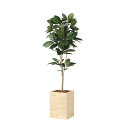アートグリーン 人工観葉植物 光触媒 光の楽園 ウッドボックスゴムの木1.8