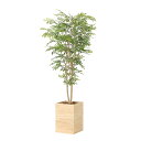 アートグリーン 人工観葉植物 光触媒 光の楽園 ウッドボックストネリコミックス1.8