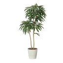アートグリーン 人工観葉植物 光触媒 光の楽園 アムステルラバーキング1.6