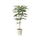 アートグリーン 人工観葉植物 光触媒 光の楽園 アムステルダムキング1.3