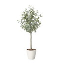 アートグリーン 人工観葉植物 光触媒 光の楽園 ユーカリツリー1.65