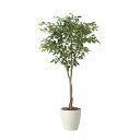 アートグリーン 人工観葉植物 光触媒 光の楽園 フィカスツリー1.65