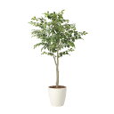 アートグリーン 人工観葉植物 光触媒 光の楽園 フィカスツリー1.85(組立式)