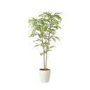 アートグリーン 人工観葉植物 光触媒 光の楽園 ライトトネリコ1.3