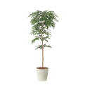 アートグリーン 人工観葉植物 光触媒 光の楽園 トネリコ1.3