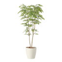 アートグリーン 人工観葉植物 光触媒 光の楽園 ライトトネリコ1.8