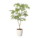 アートグリーン 人工観葉植物 光触媒 光の楽園 ねむの木90(ポリ製)