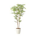 アートグリーン 人工観葉植物 光触媒 光の楽園 ソヨゴ1.3