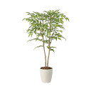 アートグリーン 人工観葉植物 光触媒 光の楽園 ソヨゴ1.0