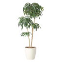 アートグリーン 人工観葉植物 光触媒 光の楽園 ショウナンゴム