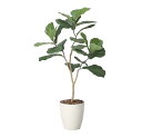 アートグリーン 人工観葉植物 光触媒 光の楽園 デザインカシワバゴム1.1