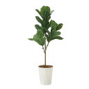 アートグリーン 人工観葉植物 光触媒 光の楽園 カシワバゴム1.25(ポリ製)