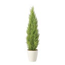 アートグリーン 人工観葉植物 光触媒 光の楽園 ゴールドクレスト1.35(ポリ製)