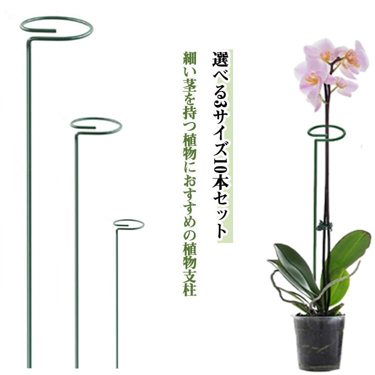 植物支柱 園芸支柱 サポート 花ささえ 園芸用支柱 花支え トマト 園芸支柱 植木鉢用 使いやすい 植物成..