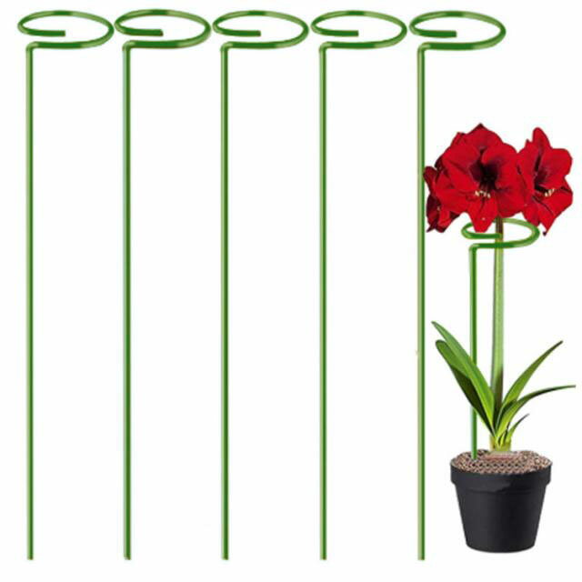 ��ʪ���� ��ݻ��� ���ݡ��� �֤����� ����ѻ��� �ֻ٤� �ȥޥ� ��ݻ��� ����ȭ�� �Ȥ��䤹�� ��ʪ��Ĺ ��ʪ���ݡ��� �Х� �Ĥ�����ʪ�� ��� ��ĳ�� ī�� �ե� ����� �����ǥ˥��ѻ��� ������ �����