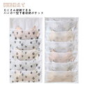 下着 出し入れ簡単 収納 ウォールポケット 壁掛け収納 ハンガー式 ソックス ショーツ ブラ 靴下 すっきり片付く 収納 仕切り ブラの型崩れ防止 両面ハンガー 折り畳み式 便利収納 吊り下げ収納 衣類 収納 ブラケース