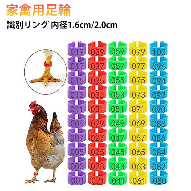 識別 飼育 番号付き 鳥 クリップ 家禽用 カラフル 数字入り 足輪 割輪 ハト 鶏足環 鳥 レッグリング フットバンド アヒル 個体識別環 再利用可能 小鳥 管理 100個セット 足環 脚用リング 鴨 鶏 鳩 丈夫 装着簡単 農業 園芸 ペット用品 雑貨