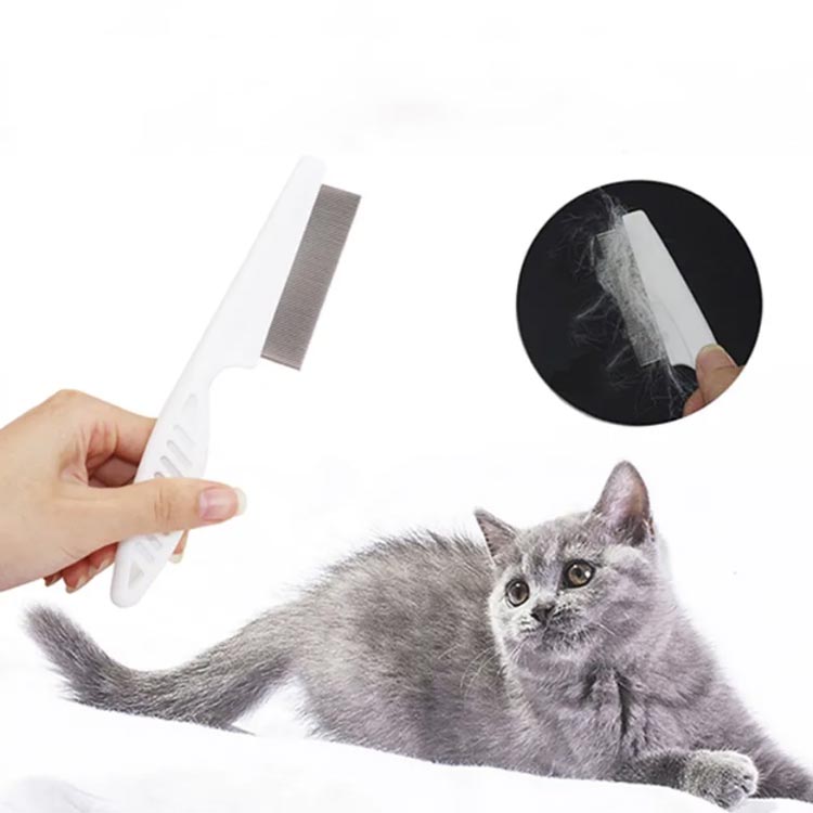 �� ǭ ���Ĥ� 2�ĥ��å� �ΤߤȤꥳ���� ������ ���� ������ �˺����ӥ����� �ڥå��ѥ֥饷 ������������