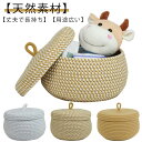 収納バスケット 可愛い 編み込み ロープバスケット 卓上収納 円形 小物収納 化粧品 雑誌 収納カゴ コットンロープ 折りたたみ お洒落 持ち手付き リビング 小物入れ おもちゃ 家庭用 高耐久性(3)