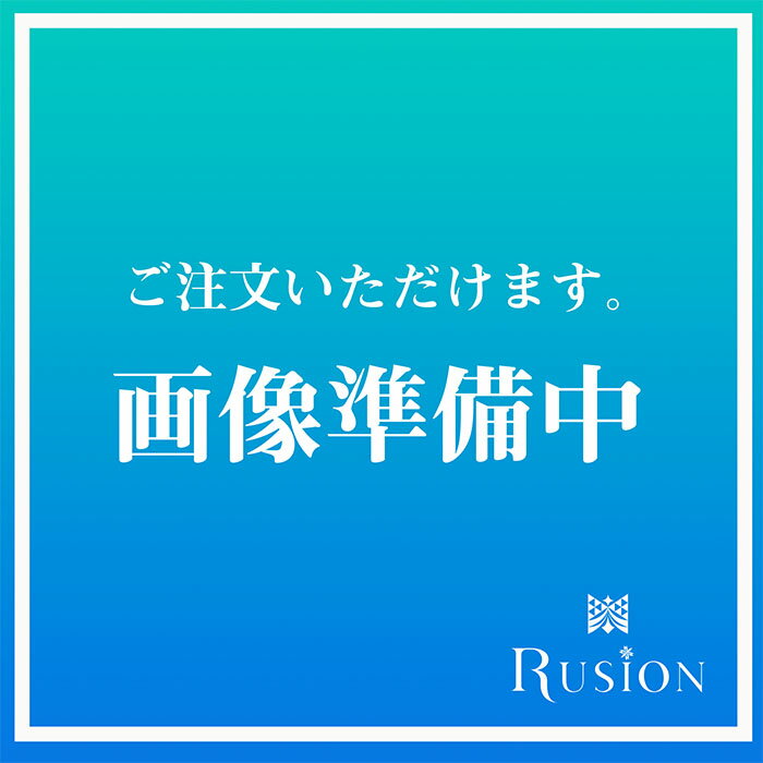 シュワルツコフ ファイバープレックス No.2 ボンドフィクサー 750g