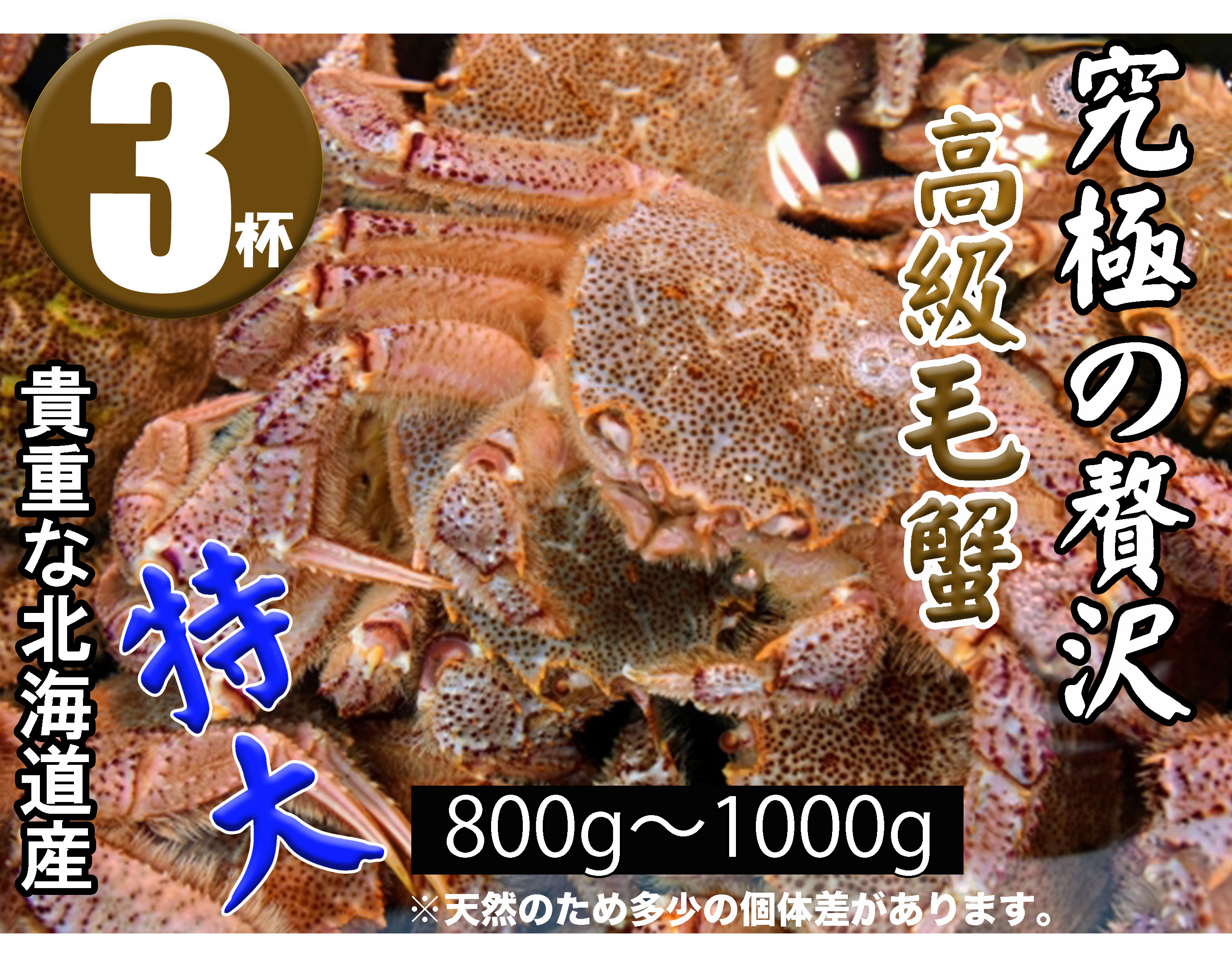 製品について アイテム 【北海道直送】北海道産 超特大 高級 冷凍毛ガニ 3杯(0.8~1.0kg×3) 鮮度抜群 北海道加工 ボイル済 内容量 1杯 (800g～1000g目安)×3 原材料 毛ガニ(北海道)、食塩 栄養成分(可食部100g当たり) 熱量83kcal、たんぱく質18.4g脂質0.5g炭水化物0.2g 食塩相当量 0.6g (推定値) アレルギー物質 かに 塩味 普通～やや強め 賞味期限 シール記載 保存方法 冷凍保管 -18℃以下で保管してください　※解凍後なるべく早くお召し上がりください 箱サイズ 約80サイズ ※冷凍品 加工者 カネシメ冷蔵(株)第二冷蔵庫 北海道札幌市西区八軒6条西10丁目 広告文責 株式会社ルシオン※こちらの商品は北海道からの直送品でヤマトクール便でのお届けとなります。 注意事項を良く読んでから注文下さい。 商品概要 ◆北海道産の特大高級ボイル冷凍毛ガニです。 市場にはほとんど出回らない貴重で入手困難な超特大サイズを数量限定で販売。 従来のサイズでは味わえなかった特大サイズならではの満足感。 これぞ究極の贅沢です。 解凍後そのままお召し上がりになれます。 ◆函館の朝一レベルをご家庭でお楽しみいただけます。 「プロの職人が目利き」：1杯1杯甲羅の硬さ、足の張り、甲羅の厚みをみて丁寧に選別し、一度に巨大なボイラーで炊き上げます。 ご家庭で少量茹でるより、カニ自身の出汁が染みこんで風味豊かな味に仕上がっております。 ◆北海道産：今ではとても貴重な国産の特大サイズ。水揚げ後すぐにボイルするので鮮度抜群。カニ本来の旨味と甘みを感じられます。 ◆大きさに合った絶妙な茹で加減で仕上げています。※天然物の為、個体差があります。 ◆良い原料と長年の職人の技が生み出す究極の逸品です。 ◆※配達日時はご指定いただくことができません。 受注次第出荷させていただきますのでご了承ください。 配達日時のご指定をご希望の際は、出荷後にお知らせする配送伝票番号にて最寄りの配送業者営業所へ直接ご相談ください。 商品詳細 今では貴重な国産原料をお求めやすく提供いたします ●浜茹で特大毛ガニ1杯(0.8~1.0kg) 北海道産の特大高級ボイル冷凍毛ガニです。市場にはほとんど出回らない貴重で入手困難な超特大サイズを数量限定で販売。 従来のサイズでは味わえなかった特大サイズならではの満足感。これぞ究極の贅沢です。解凍後そのままお召し上がりになれます。 ●毛ガニらしい濃厚な味をぜひご堪能ください。 函館の朝一レベルをご家庭でお楽しみいただけます。 「プロの職人が目利き」：1杯1杯甲羅の硬さ、足の張り、甲羅の厚みをみて丁寧に選別し、一度に巨大なボイラーで炊き上げます。 ご家庭で少量茹でるより、カニ自身の出汁が染みこんで風味豊かな味に仕上がっております。 ・大きさに合った絶妙な茹で加減で仕上げています ※天然物の為、個体差があります ・良い原料と長年の職人の技が生み出す究極の逸品です カニ味噌は高級珍味ならではの味わい。 オーブンやグリルでさっと炙るとさらに香ばしくなり、お酒がそそります。ミソ独特の苦みやエグ味が少ないため、カニ味噌甲羅焼きも大変おすすめです。 少しだけミソを残して甲羅に日本酒を注ぎ、ぐつぐつと煮立ってきたら飲み時です。 クセになる美味しさと大人の上質な時間をご堪能ください。 ●今日も海に出ている漁師さん応援キャンペーン【お家で漁師さんを応援しよう】 通常は全国の高級レストランや旅館、ホテル、料亭で使用されておりましたが、昨今の事情にてキャンセルが相次ぎ、数量限定で販売させていただける運びとなりました！ 【北海道産】 特大毛ガニはしっかり締まった身がぎっしり詰まっていて大変食感が良く濃厚な味わいです。 本当に美味しい毛ガニ本来の味をぜひご堪能ください。 ※※※おすすめ解凍方法※※※ ・よりおいしくお召し上がりになる為に冷蔵庫で1~2日かけ、ゆっくり解凍すると旨味が抜けづらいです。またその時水分蒸発を防ぐため新聞紙を同梱の緑紙を巻いたまま解凍を推奨します。 ・常温解凍の場合は5～8時間が目安。 ・解凍方法を間違えると旨味がドリップとして流れパサパサしてしまいますのでご注意ください。 ・賞味期限に関してのご注意：商品ごとに個別の賞味期限が記載されておりますが、この賞味期限は、業務用冷凍庫内-18℃以下の保存状況を条件としております。 ご家庭用の冷凍庫では-18℃を維持することが難しい為、1カ月以内にお召し上がりになることを推奨します。解凍後はなるべく早めにお召し上がりください 重量は氷の膜込みで解凍後は1~2割目減りします。 ・解凍後は再凍結しないでください ・解凍方法〇→自然解凍(冷蔵庫、常温)　解凍方法×→電子レンジ、熱湯や水、茹で直し ※※※【重要】注意事項※※※ ・この商品はギフト設定不可のため、配送伝票の発送元名には、「ルシオン函館配送センター」と記載されます。 ・ご注文者様のお名前は伝票の送り元名に記載されないのでご注意ください。 ・ご注文された方と、発送先が異なる場合は必ず送り先の方へ事前にご連絡をお願い致します。 ・万が一受け取り拒否などで商品が戻った場合、保証は受付できかねる場合がございます。 ・北海道直送商品(ヤマトクール便)の為、特に年末年始配送遅延が予想されますのでご注文はお早めにお願いいたします。 ・当商品は天然物の為、選別はおこなっておりますが、個体差や時期により身入りに多少バラつきがございます。 ・鮮度が良い状態で茹でても、中には身がやや黄色がかった個体がおりますが、カニの個体差によるもので、品質上、問題ありません。 ・品質保持：冷凍保管時に乾燥を防ぐため、グレーズ加工(薄氷の膜)をしています。 ・氷の膜で解凍後に重量を下回る場合がございますが、ご了承ください。 ※こちらの商品は、配達日時をご指定いただくことができません。 ※受注次第出荷させていただきますのでご了承ください。 ※配達日時のご指定をご希望の際は、出荷後にお知らせする配送伝票番号にて最寄りの配送業者営業所へ直接ご相談ください。