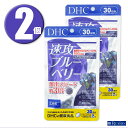 (2個) DHC サプリメント 速攻ブルーベリー 30日分×2個 ディーエイチシー 健康食品