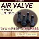 新品エアバルブ TR-413（一台分）