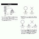 rv-shuei:10038392のサンプル画像2