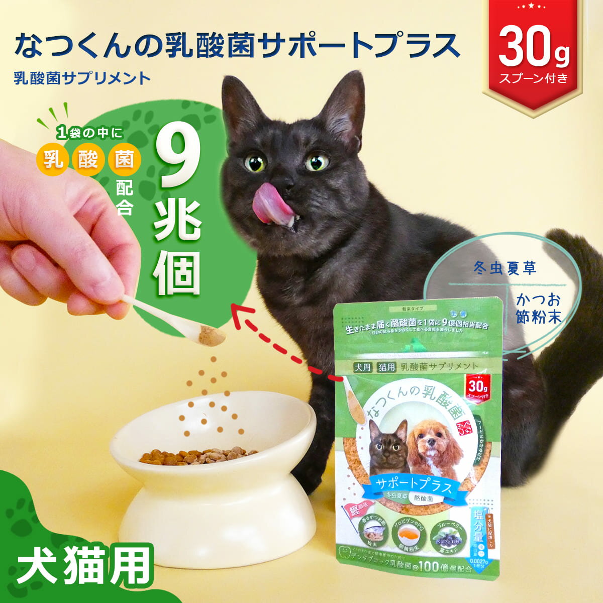 犬 猫 乳酸菌 なつくんの乳酸菌 サポートプラス 30g 【公式】 腎臓の健康維持に かつお節味 犬用 猫用 サプリメント 冬虫夏草 酪酸菌 ブルーベリー茎エキス くにさと35号 シャンピニオンエキス デンタブロック乳酸菌 サプリ 国産 免疫力の維持 食欲不振 ふりかけ