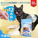 犬猫用 なつくんの乳酸菌 デンタアイプラス 30g かつお節味 乳酸菌 デンタブロック乳酸菌 グロビゲンPG 熊笹 クマイ笹 クマササ ルテイン 乳酸菌 乳酸球菌 フェカリス菌 歯と目の健康維持をサポート 歯みがき にプラスα 犬 猫 免疫力の維持 食欲不振 ふりかけ