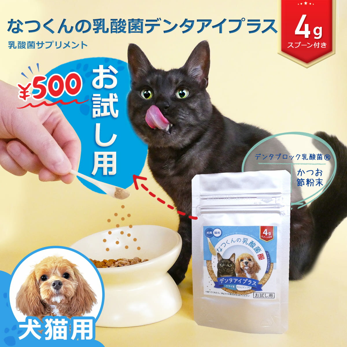 【数量限定500円⇒250円】犬猫用 なつくんの乳酸菌 デンタアイプラス お試し用 4g 歯と目の健康維持をサポート かつお節味 乳酸菌 デンタブロック乳酸菌 グロビゲンPG 熊笹 クマイ笹 ルテイン 乳酸球菌 フェカリス菌 犬 猫 食欲不振 ふりかけ 訳あり:賞味期限2~4ヶ月前後