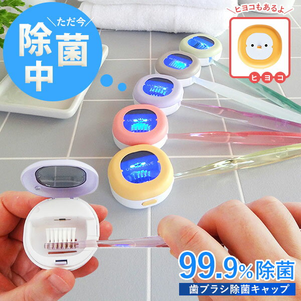 3個セット 充電式歯ブラシ除菌キャップコンパクト MDK-TS00 ピンク
