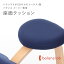 新型バランスラボ製バランスチェア パーツ 座面クッション (木製ピン2本・固定ネジ2本付) 新型バランスラボ製 バランスチェアー 北欧家具 学習椅子